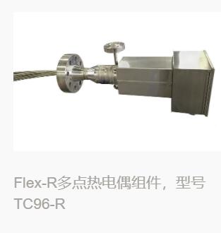 Flex-R多點熱電偶組件,型號TC96-R