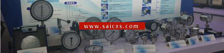 上海遠東儀表廠