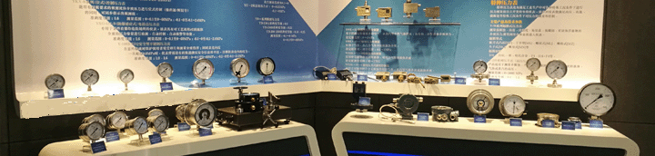 上海自動化儀表四廠